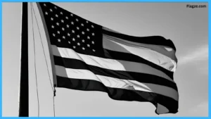 American Black Flag Image
